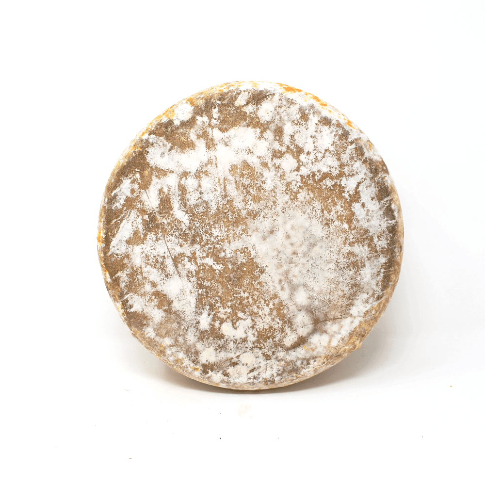 Agour Ardi Gasna Ossau Iraty AOC French Cheese - Curedandcultivated