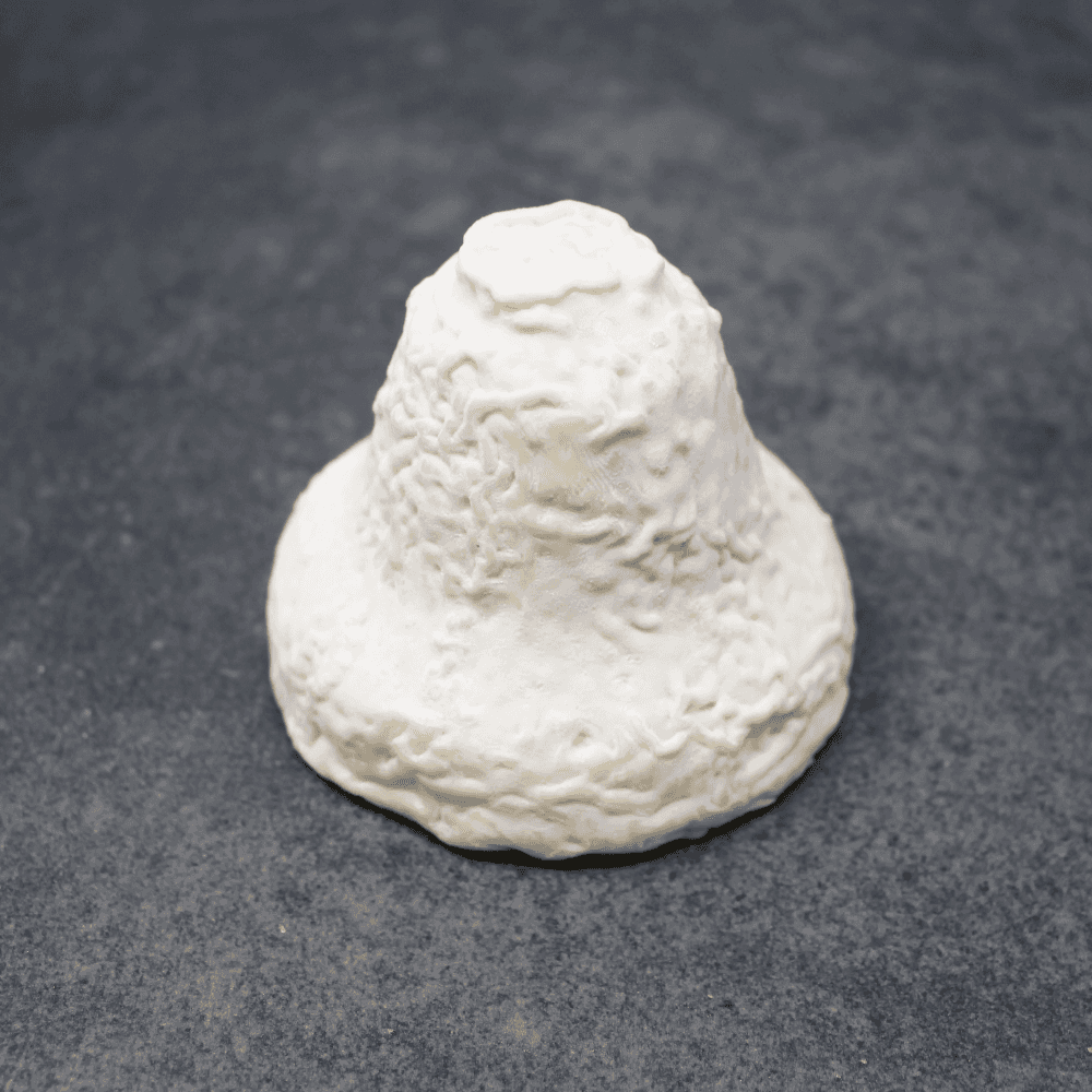 Beillevaire Clochette de Fontenille Soft Goat Cheese France Paso Robles - Curedandcultivated