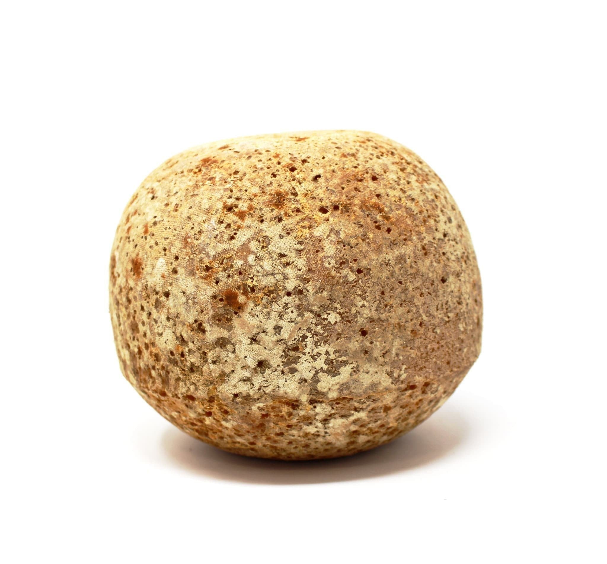 Mimolette Aged for 12 month - Curedandcultivated
