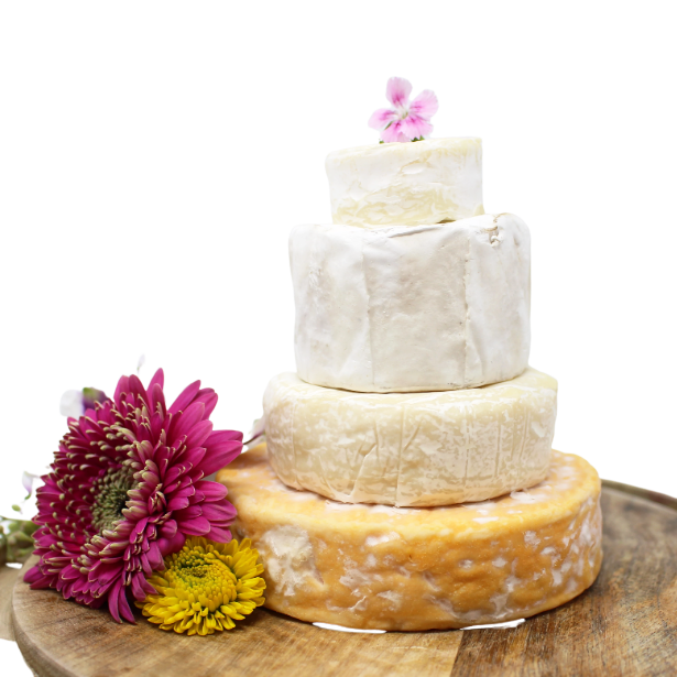 Brie Cake Set, 4 pc - Curedandcultivated
