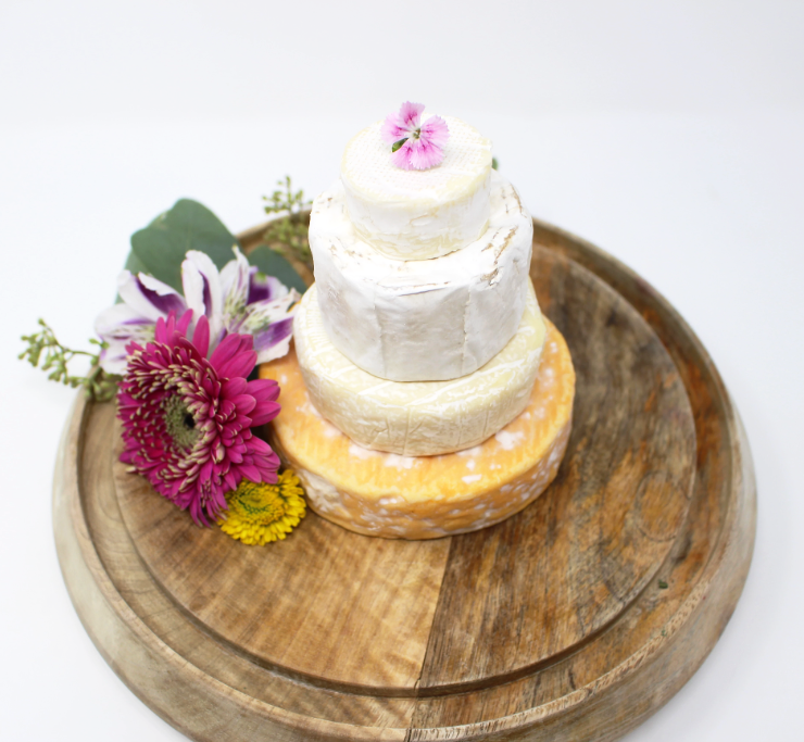 Brie Cake Set, 4 pc - Curedandcultivated