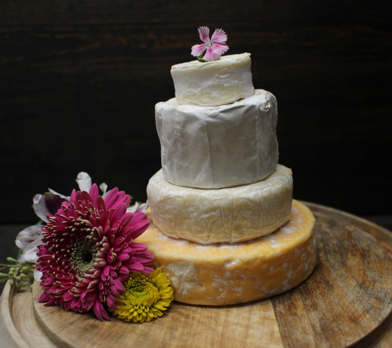 Brie Cake Set, 4 pc - Curedandcultivated