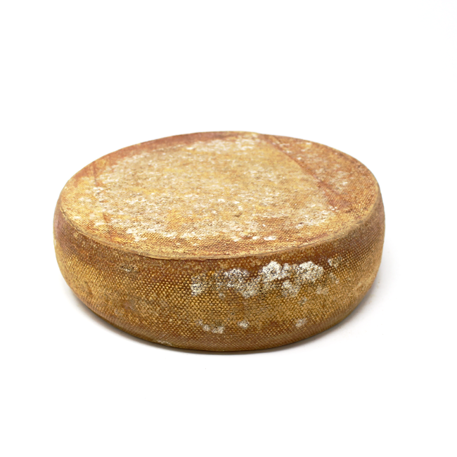 Alpengouda Cheese - Curedandcultivated