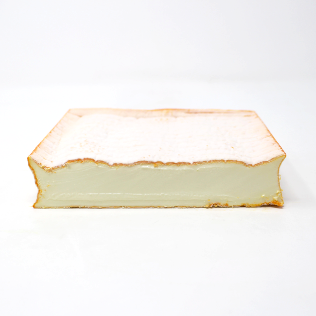 Soft cheese Brebirousse D'Argental Sheep - Curedandcultivated