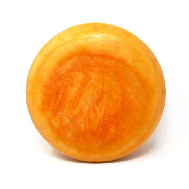 Jake's Aged Gouda Saxelby Cheesemongers - Curedandcultivated