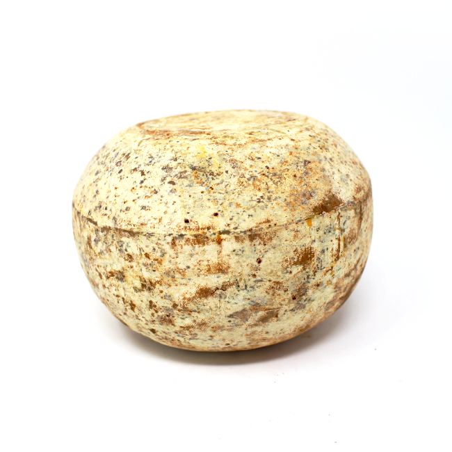 Isigny Mimolette Aged for 18 month - Curedandcultivated