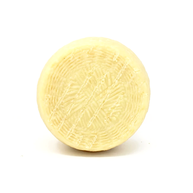 Reginella d’Abruzzo pecorino Sheep milk cheese Italy - Curedandcultivated