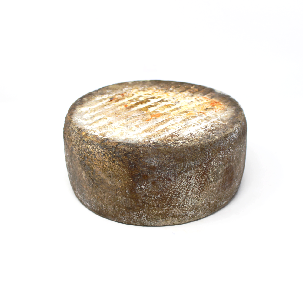 Pecorino Tuada Rogers Collection - Curedandcultivated