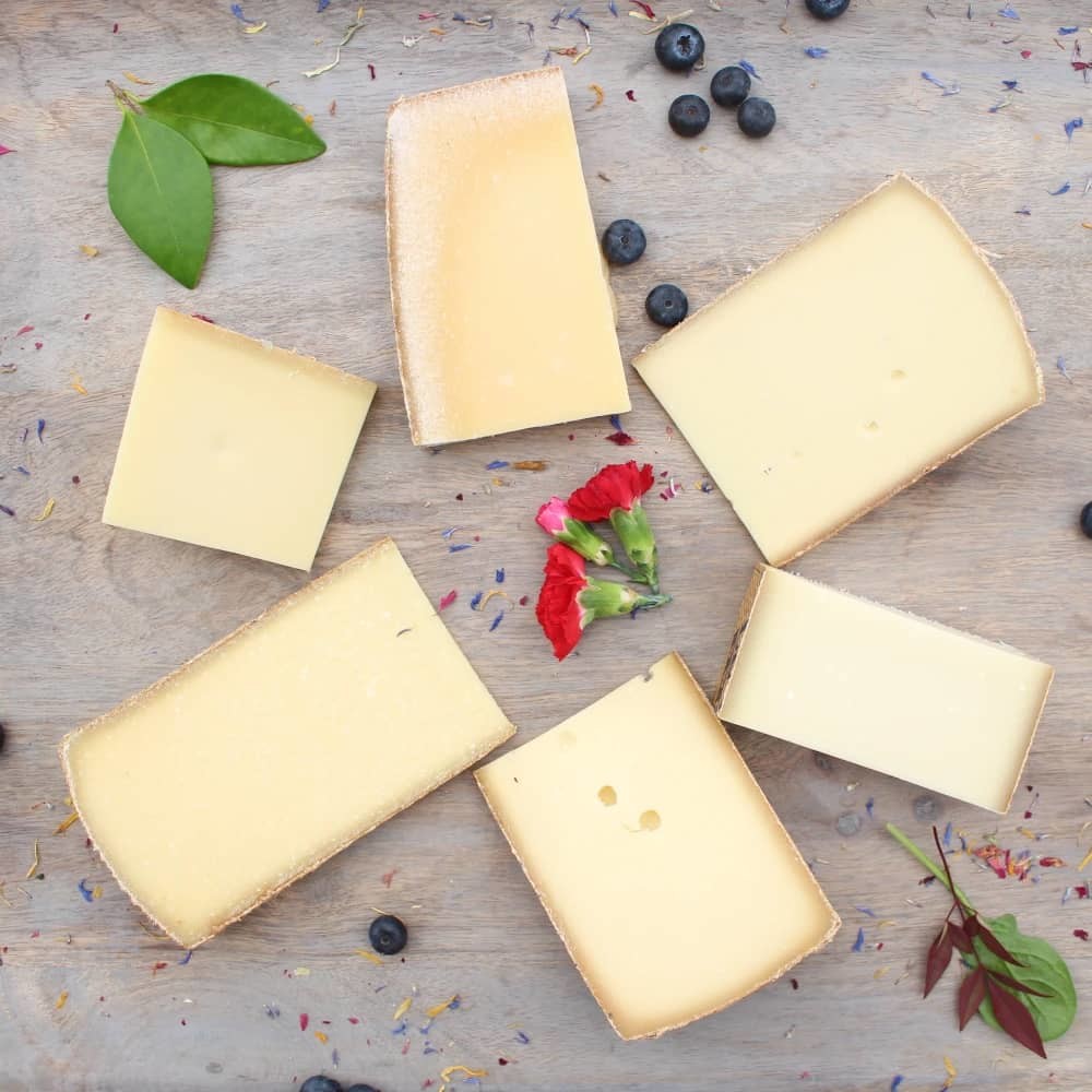 Swiss Cheese Gift Box - Curedandcultivated